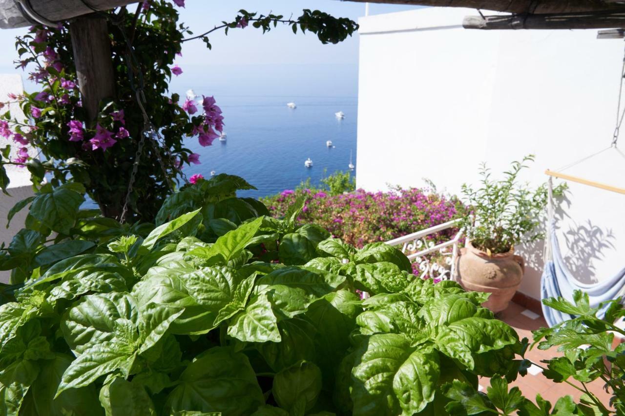 Villa Marina Piccola Ai Faraglioni Capri Buitenkant foto
